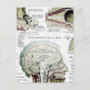 Pesquisar por médicos cartoes postais Anatomia