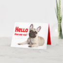 Pesquisar por bulldog francês cartoes Frenchie