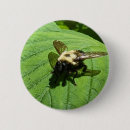 Pesquisar por bumble a abelha botons Natureza
