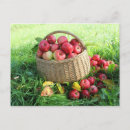 Pesquisar por mentiras cartoes postais Jardim