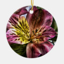 Pesquisar por peruano ornamentos Flor