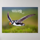 Pesquisar por islandia pósteres pôsteres Viagem