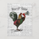 Pesquisar por cartoes postais Animais