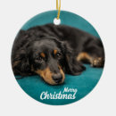 Pesquisar por merry ornamentos Cute