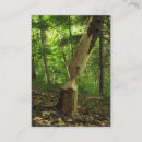 Pesquisar por castor cartao de visita Animais