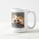 Pesquisar por filhote de cachorro canecas Fotografia