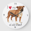 Pesquisar por staffies fotografia Staffy