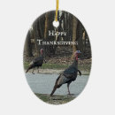 Pesquisar por selvagem ornamentos Fotografia