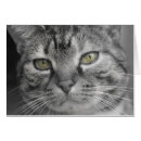 Pesquisar por gato preto com olhos verdes cartoes postais Fotografia