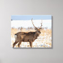 Pesquisar por wildlife impressão de canvas Antlers