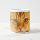 Pesquisar por maine coon canecas Gatinho