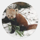 Pesquisar por panda adesivos Bonito