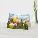 Pesquisar por recuperação rápida cartoes Rosa