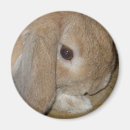 Pesquisar por orelha animal imas Natureza
