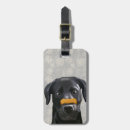 Pesquisar por labrador preto bagagem tags Contemporâneo