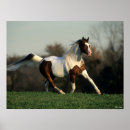 Pesquisar por manse pósteres pôsteres Raça