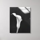 Pesquisar por black and white impressão de canvas Foto
