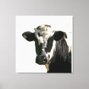 Pesquisar por vacas preto branco impressão de canvas Gado
