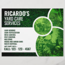 Pesquisar por verde flyers Cuidados