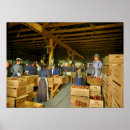 Pesquisar por embalagens pôsteres Embalagem