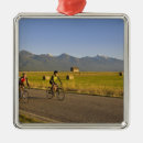 Pesquisar por estrado ornamentos Montanha