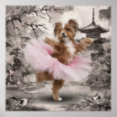 Pesquisar por ballerine pôsteres Tutu