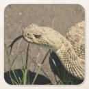 Pesquisar por cascavel porta copos Cascavéis