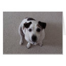 Pesquisar por terrier de russell do jaque cartoes postais Jrt