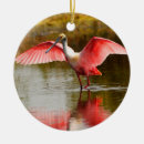 Pesquisar por rose ornamentos Animal