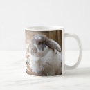 Pesquisar por lop coelho orelhudo Animal