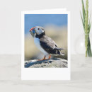 Pesquisar por puffin cartoes Sopro