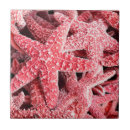 Pesquisar por estrela do mar azulejos Tropical