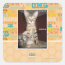 Pesquisar por idiotas adesivos Eu posso ter cheezburger