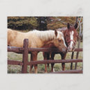 Pesquisar por equestre cartoes País