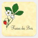 Pesquisar por fraise Fruta