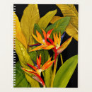 Pesquisar por pássaros do agendas Floral