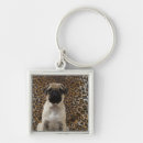 Pesquisar por filhote de cachorro do pug chaveiros Comprimento completo