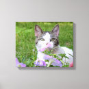 Pesquisar por gato impressão de canvas Gata amante
