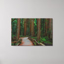 Pesquisar por muir impressão de canvas Madeiras