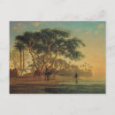 Pesquisar por camelo árabe cartoes postais Camelos