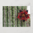 Pesquisar por cacto natal cartoes Saguaro