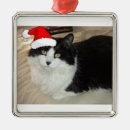 Pesquisar por natal do gato preto ornamentos Cats
