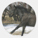 Pesquisar por mustang adesivos Foto