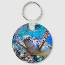 Pesquisar por recife chaveiros Oceano