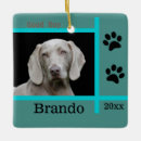 Pesquisar por cão weimaraner ornamentos Animal