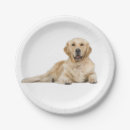 Pesquisar por retriever pratos Cachorros