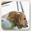 Pesquisar por através porta copos Eua