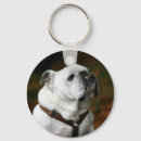 Pesquisar por buldogue inglês chaveiros Animais de estimação