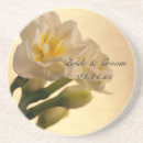 Pesquisar por daffodil branco Flores