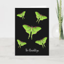 Pesquisar por luna moth cartoes Inseto